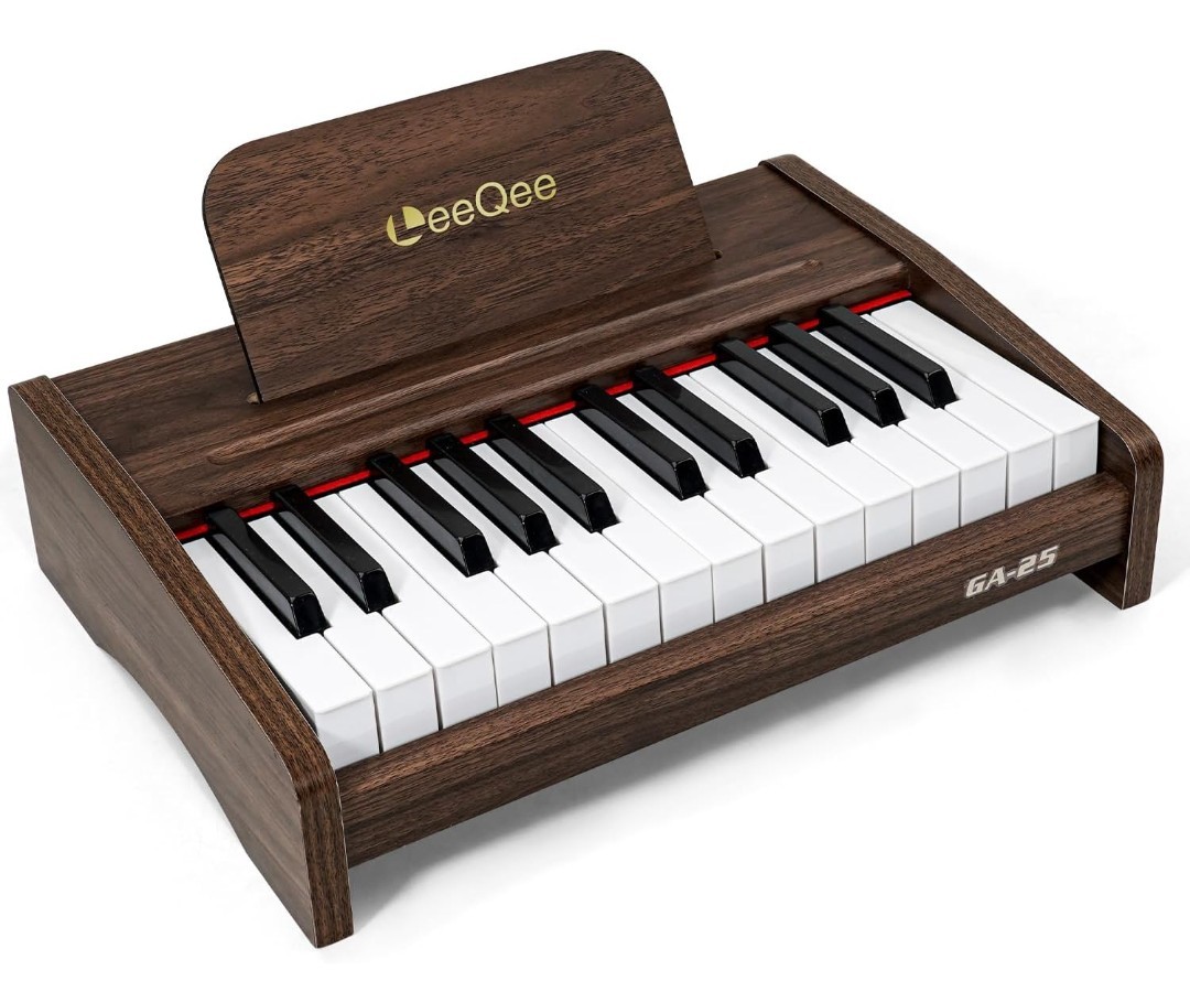 LeeQee Piano Keyboard - 25 Keys Electronic Piano