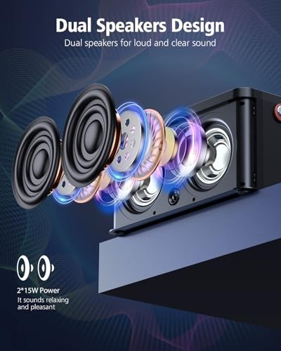 Karaoke Machine, Portable Bluetooth Speaker with 2 Wireless Microphones