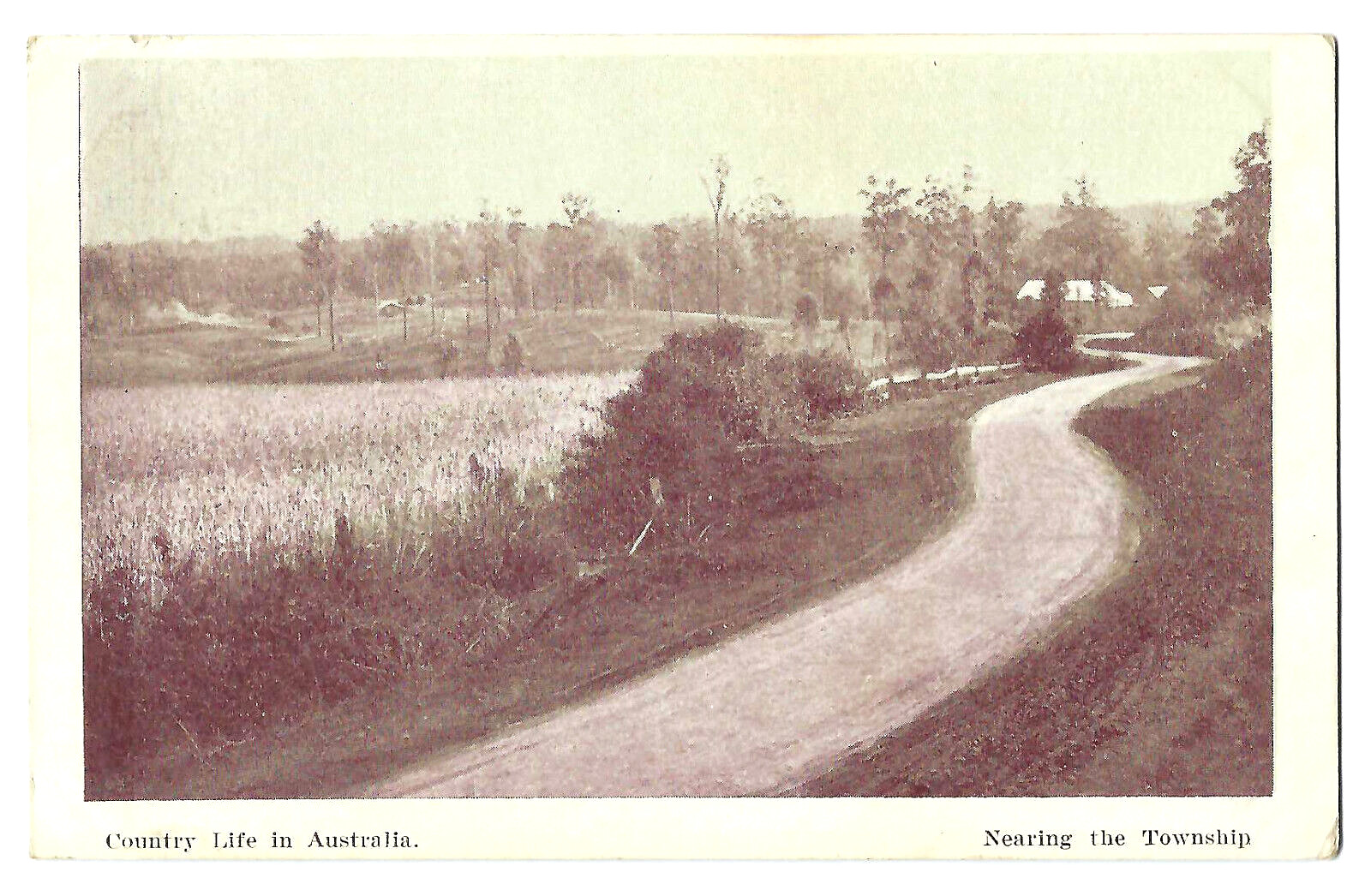NEARING THE TOWNSHIP - REGAL SERIES postcard c1910