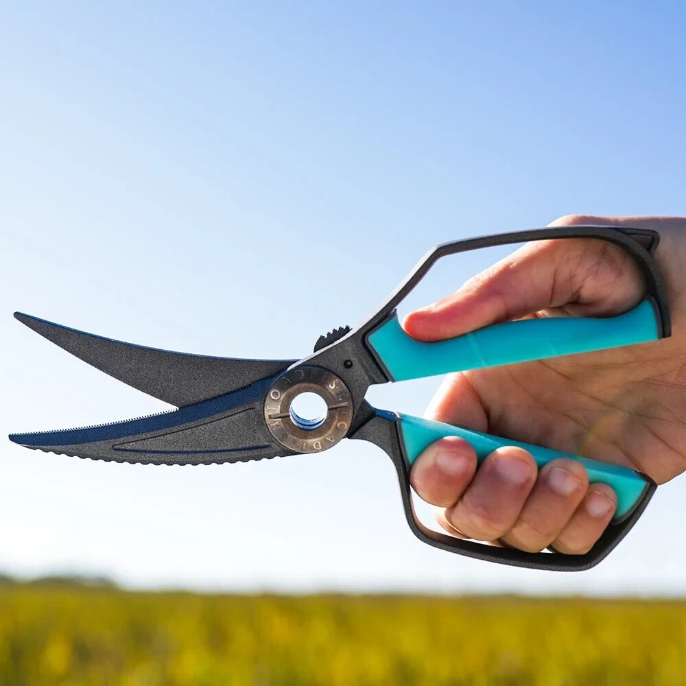 Toadfish Ultimate Shears & Sheath NEW