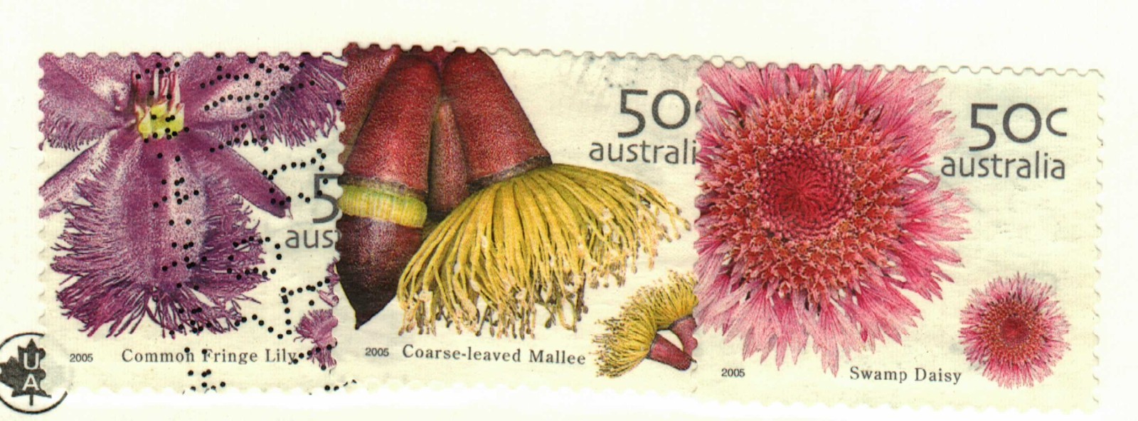 Australia #2402-4 used wildflowers