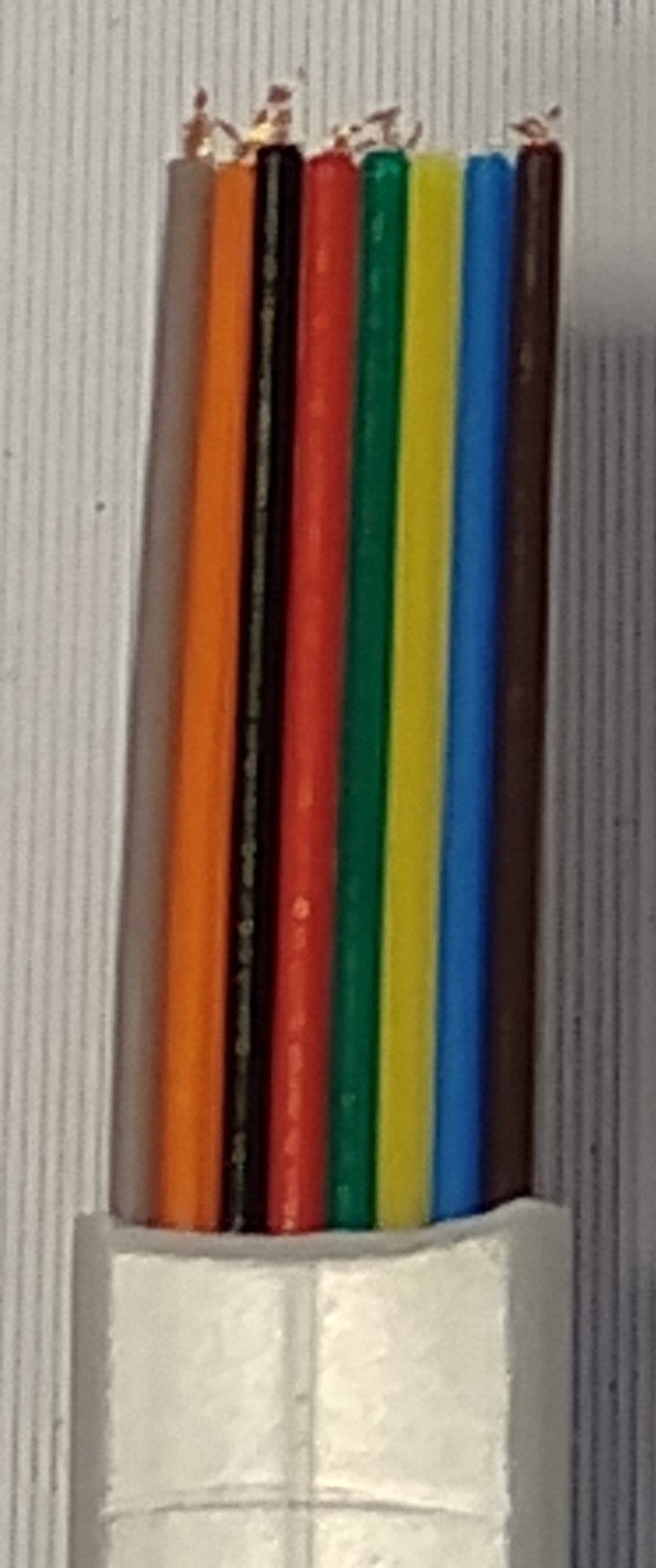 RJ45 -PLUG TO CABLE 6 FT