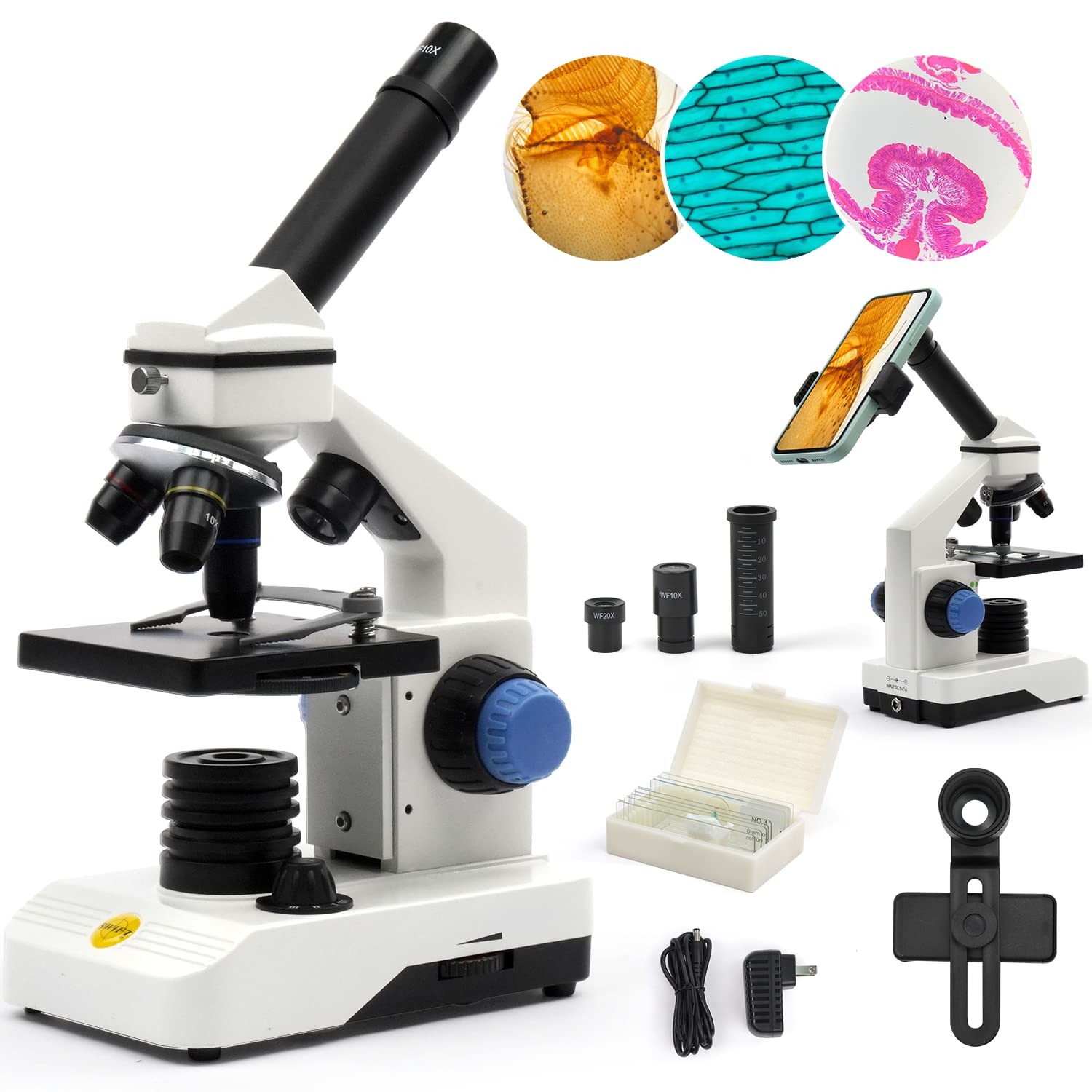 Microscope for Adults 80X-2000X Compound Monocular Kit