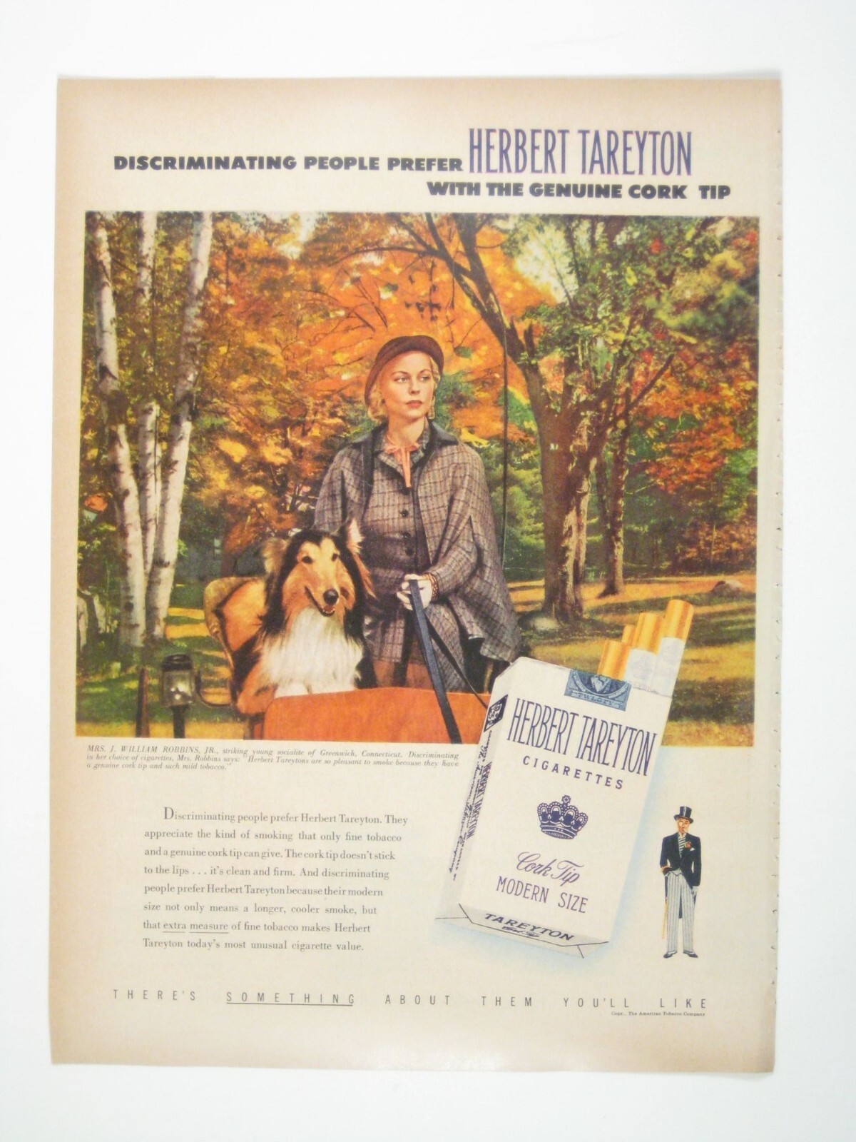 Vintage 1950s Herbert Tareyton Cigarette Ad Cork Tip Collie Dog Autumn Robbins