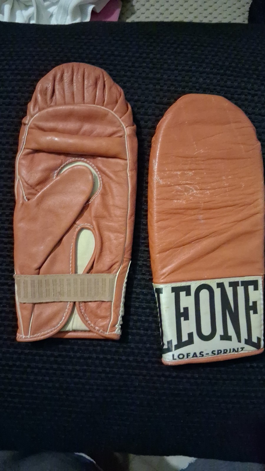Vintage Lion Gloves