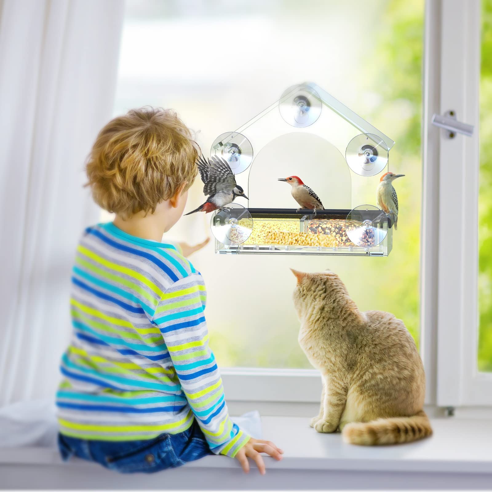 Clear Window Bird Feeder with 5 Extra Strong Suction Cups, Clear,Transparent