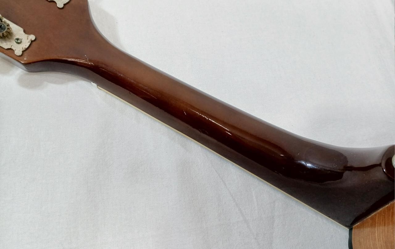 MORENA Flat Mandolin
