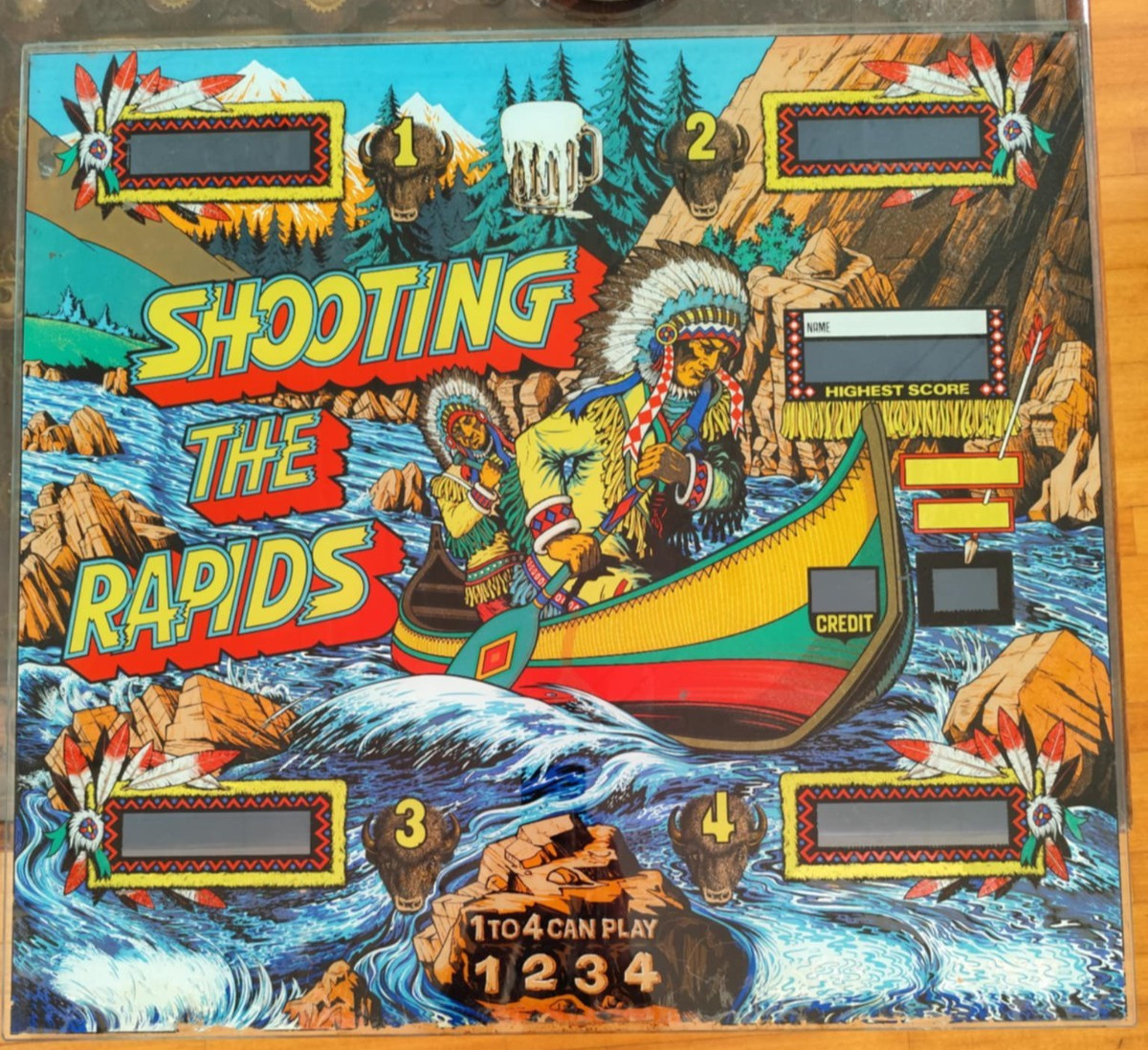Shooting the Rapids Pinball Backglass Original