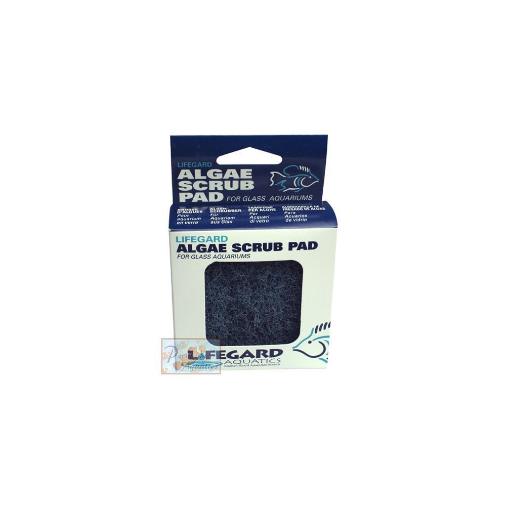 Lifegard 3" x 3" Blue Algae Scrub Pad for Glass Aquarium