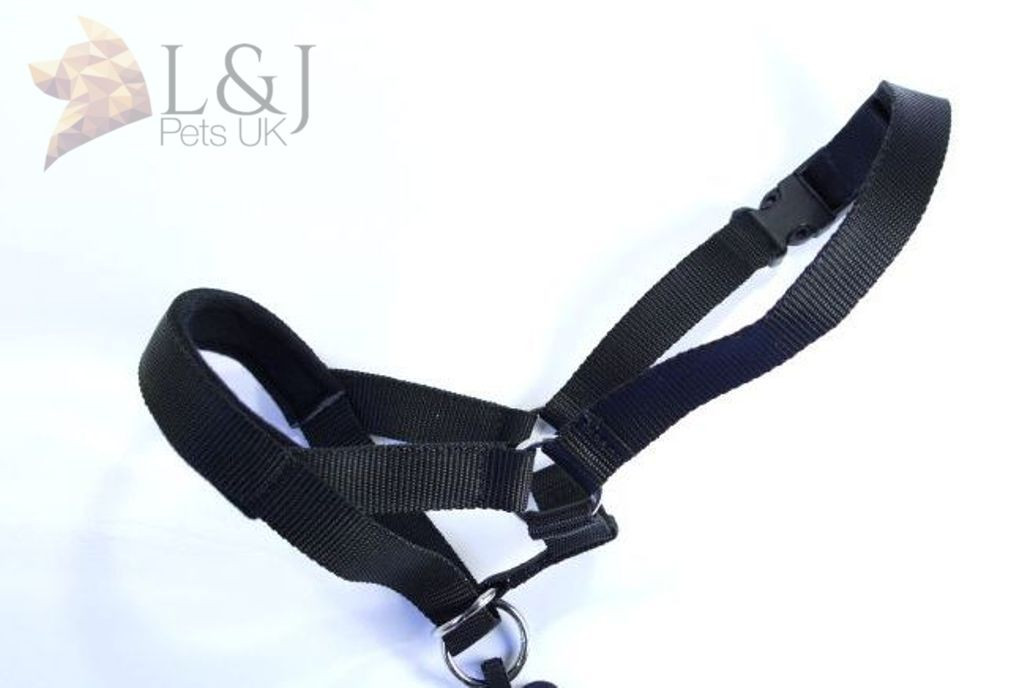 Padded Head Collar Dog Training Halter Stops Dog Pulling Training Tool