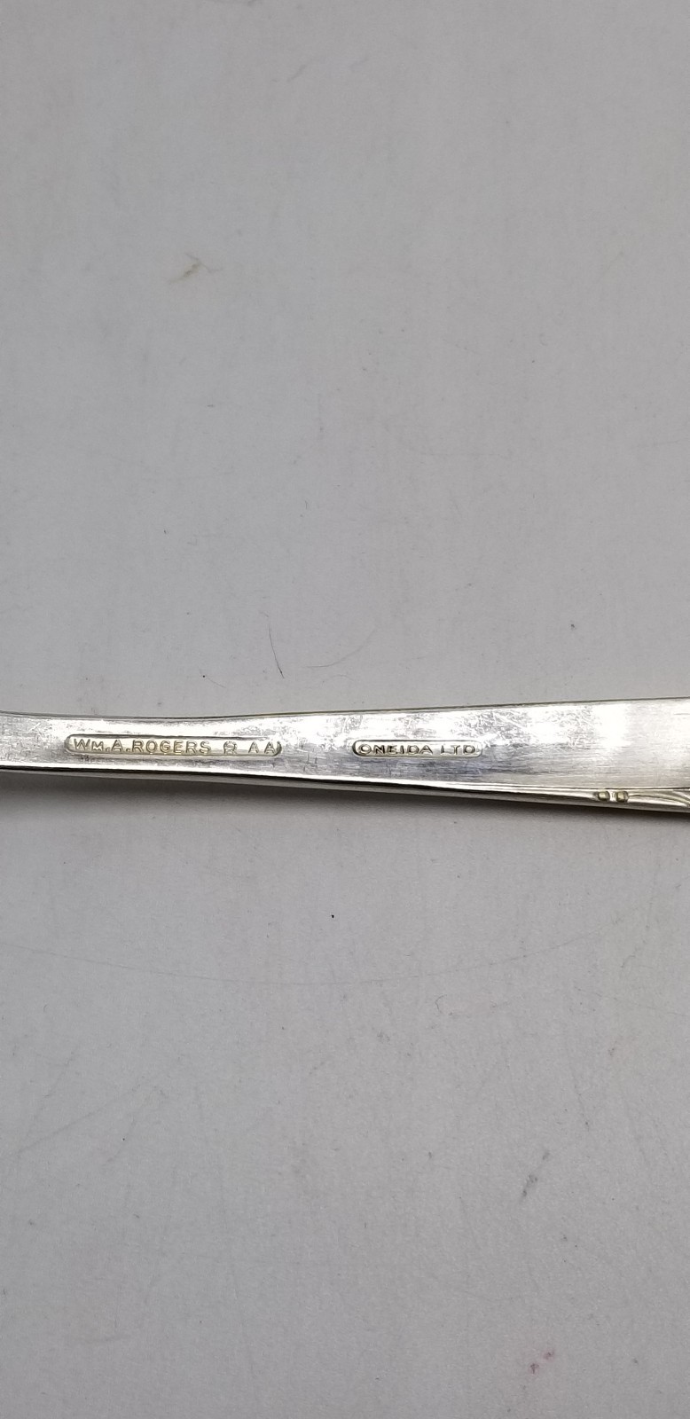 Oneida "Brittany Rose" Silverplate 9 1/2 Inch Solid Pierced Pie Server