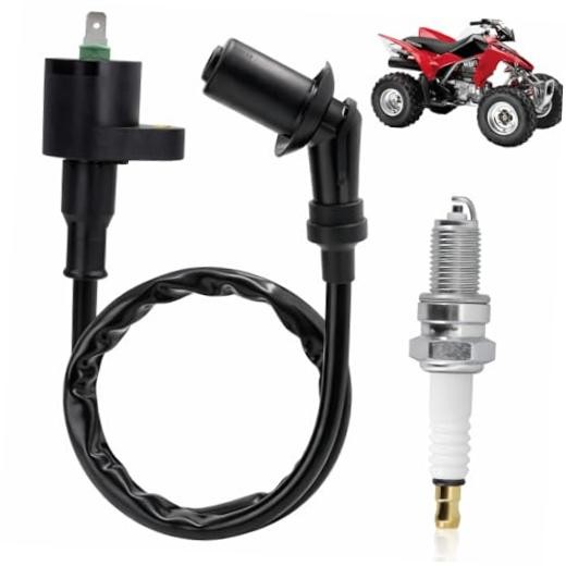 Lgnition Coil for TRX300 TRX250 with 4929 DPR8EA9 Spark Plug for TRX250