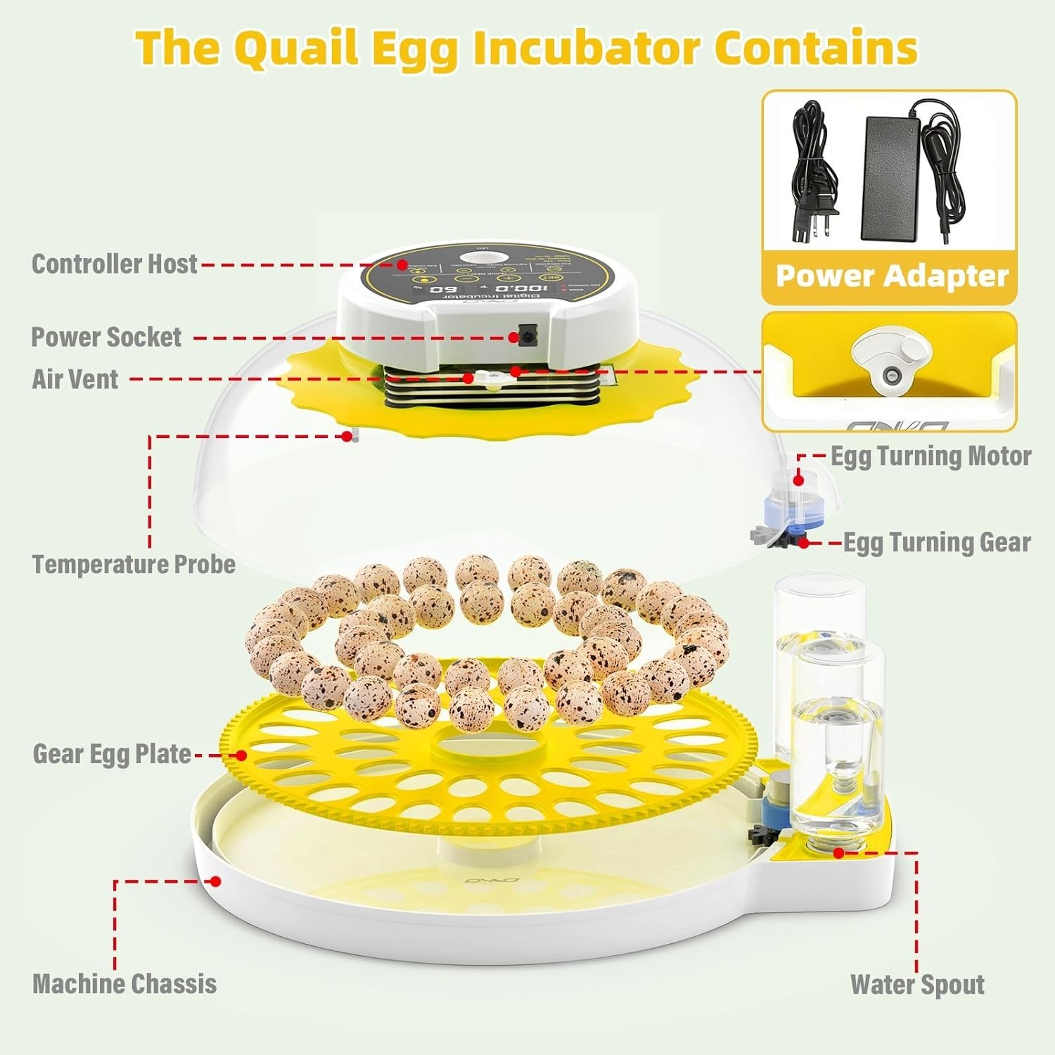 Quail Egg Incubator for Hatching Eggs with Automatic Egg Turning and Humidity...