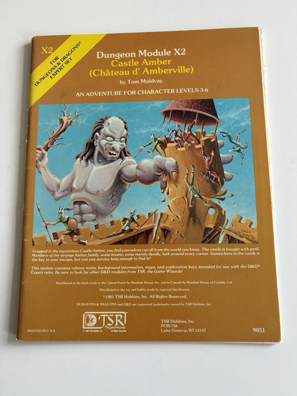Dungeons and Dragons Castle Amber X2 TSR 1981