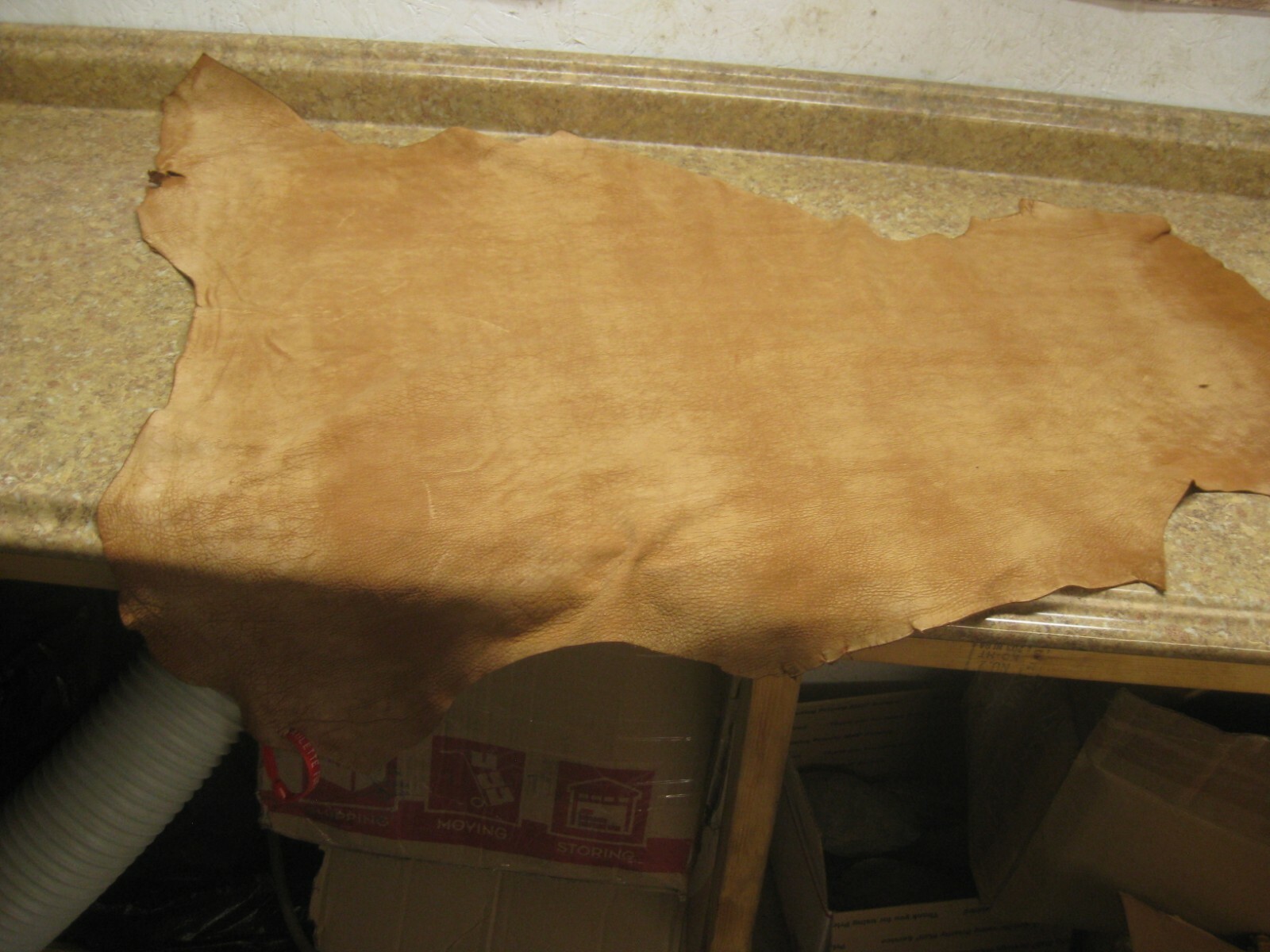 Tanned Buffed Deer Leather 0011207 Row 17 a