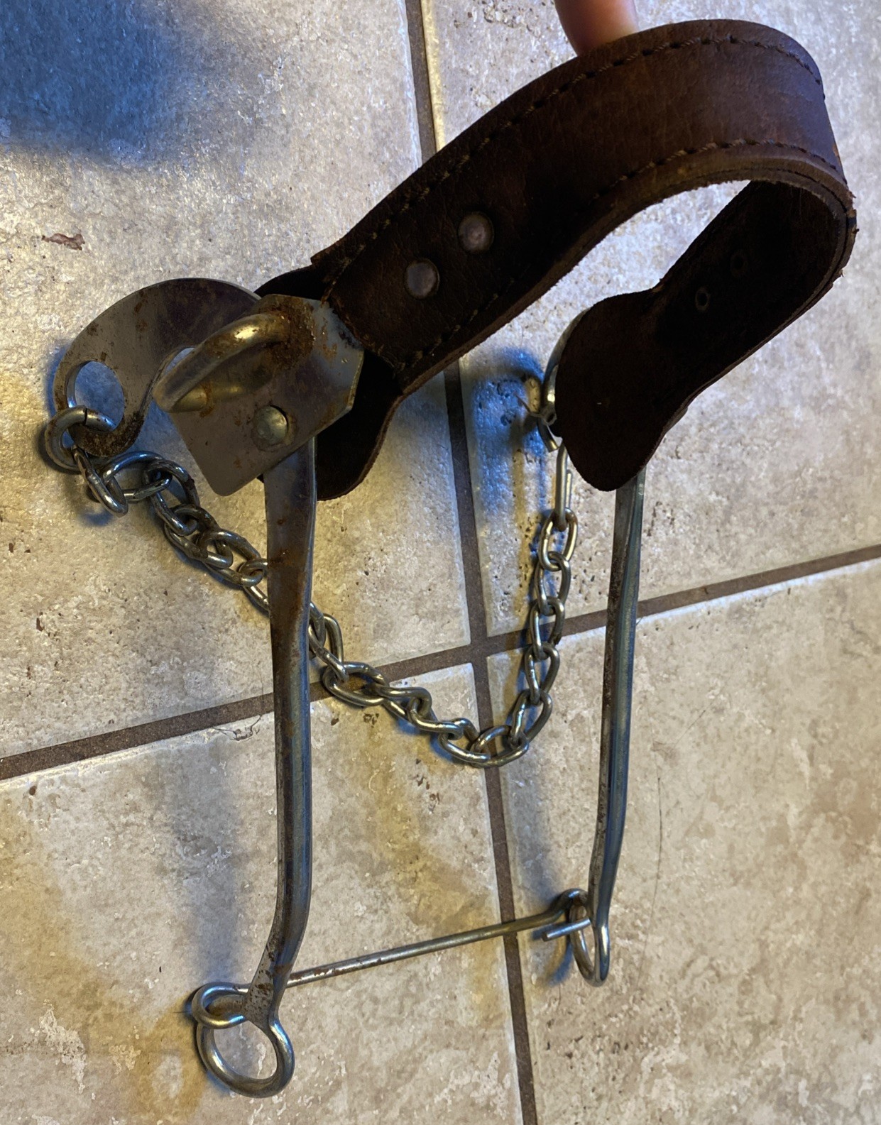 Mechanical Hackamore with 8 inch Shanks and Solid Leather Wrapped Nose Band