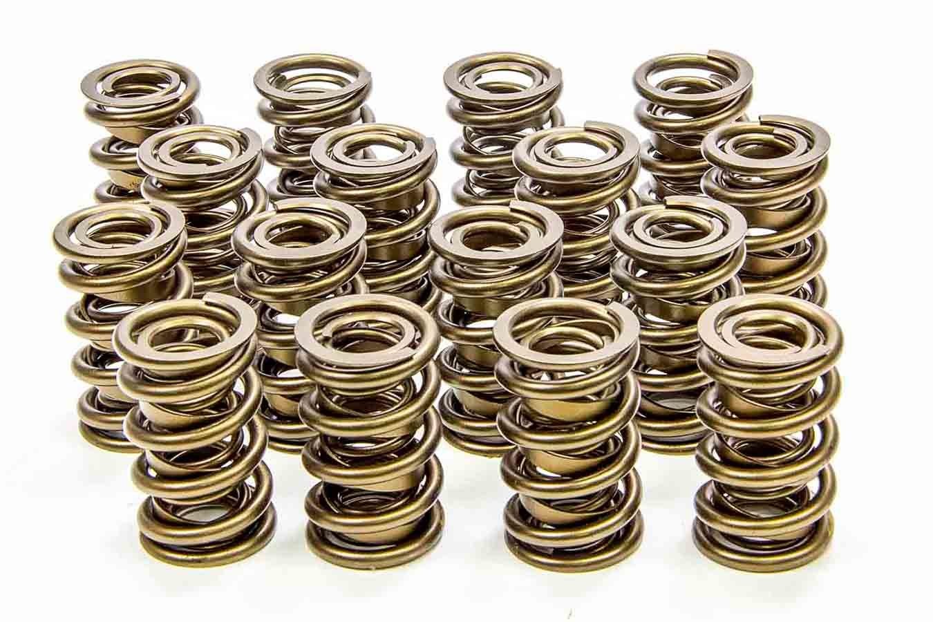 Isky 9955RAD 1.625 Valve Springs