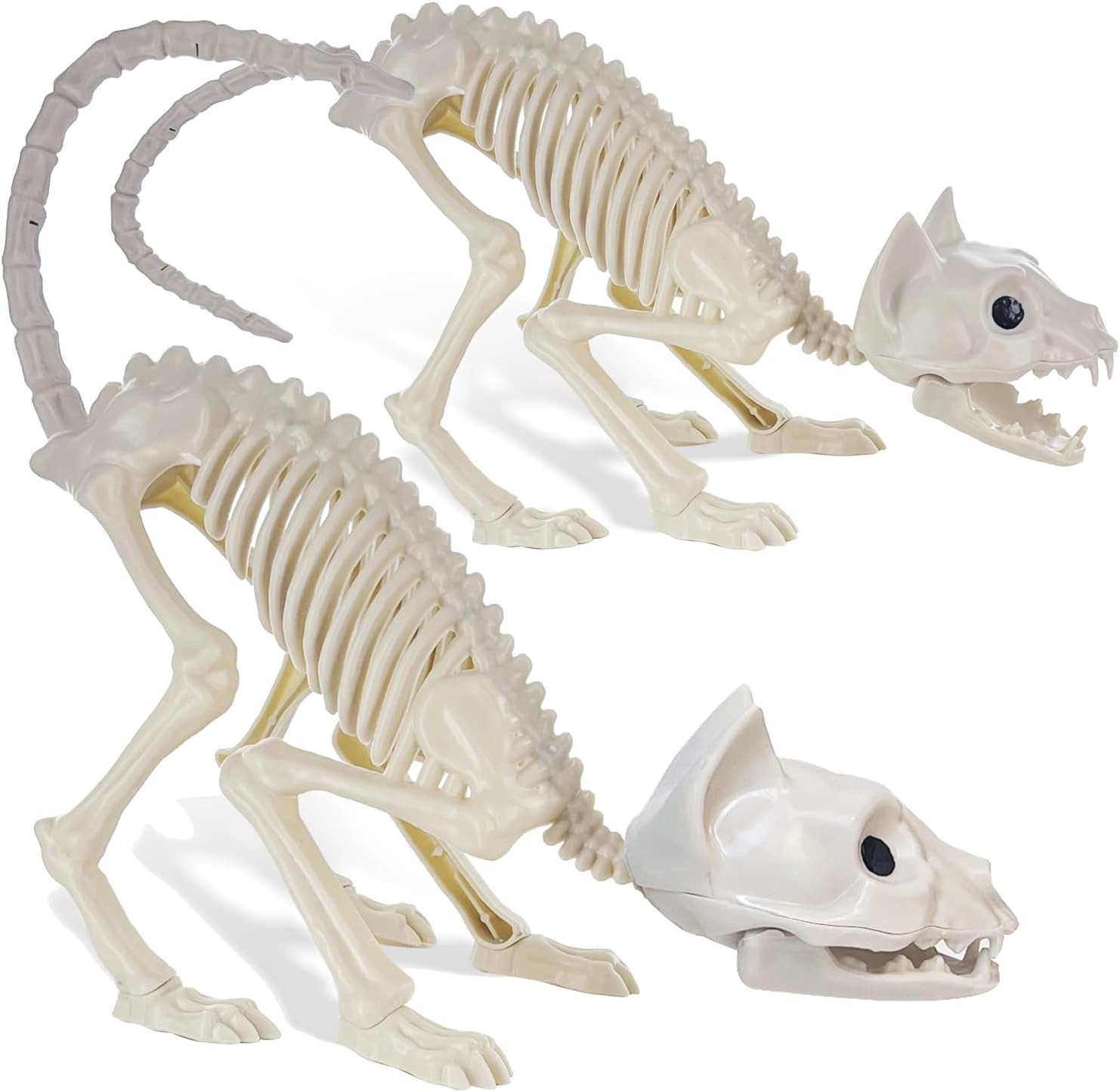 2 Pack Real Size Cat Skeleton - 20" Long Creepy Kitten Skeletons with Posable Ta