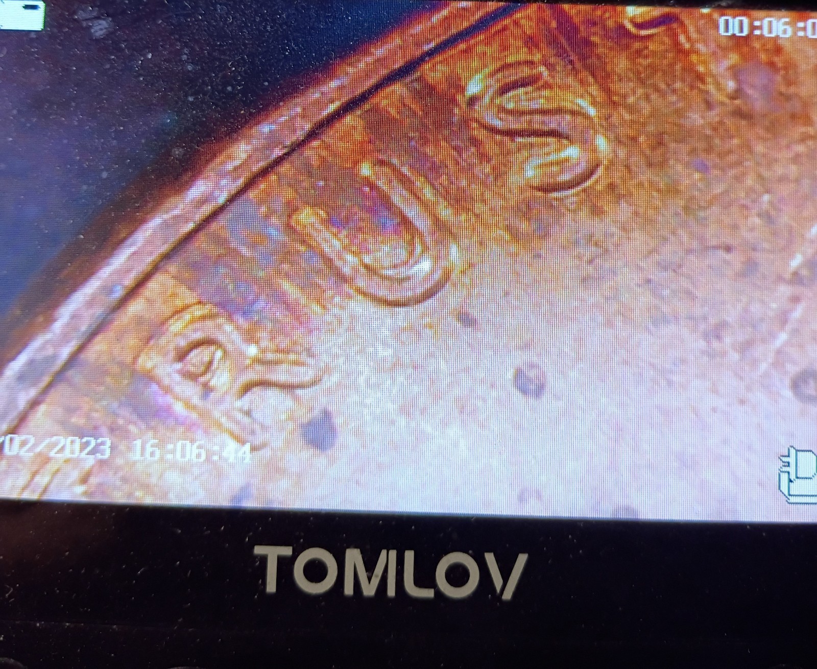 2015 D DDO Circulated RD
