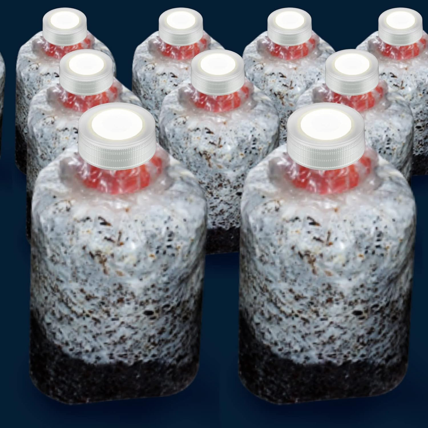 58mm Diameter Synthetic Filter disc Hydrophobic PTFE Membrane