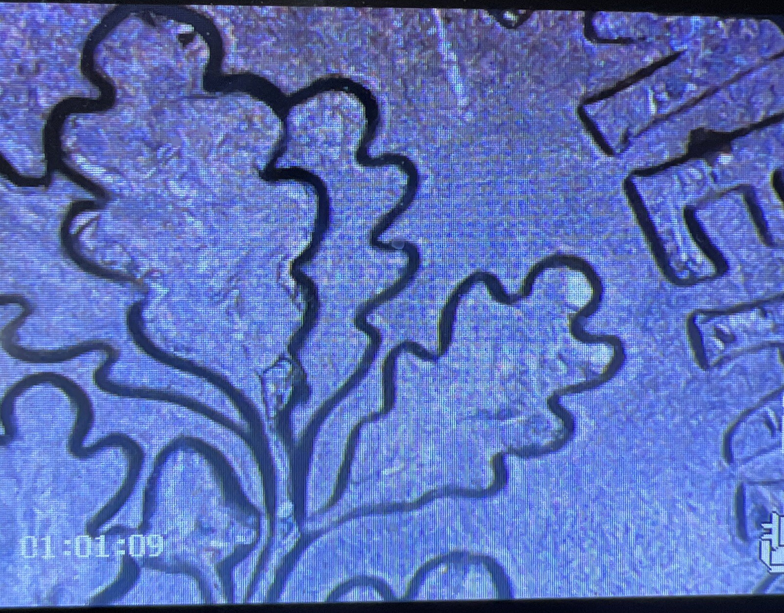 2018 P Dime DDO Die Chips Cracks & Retained Cuds Both Sides Mint Errors