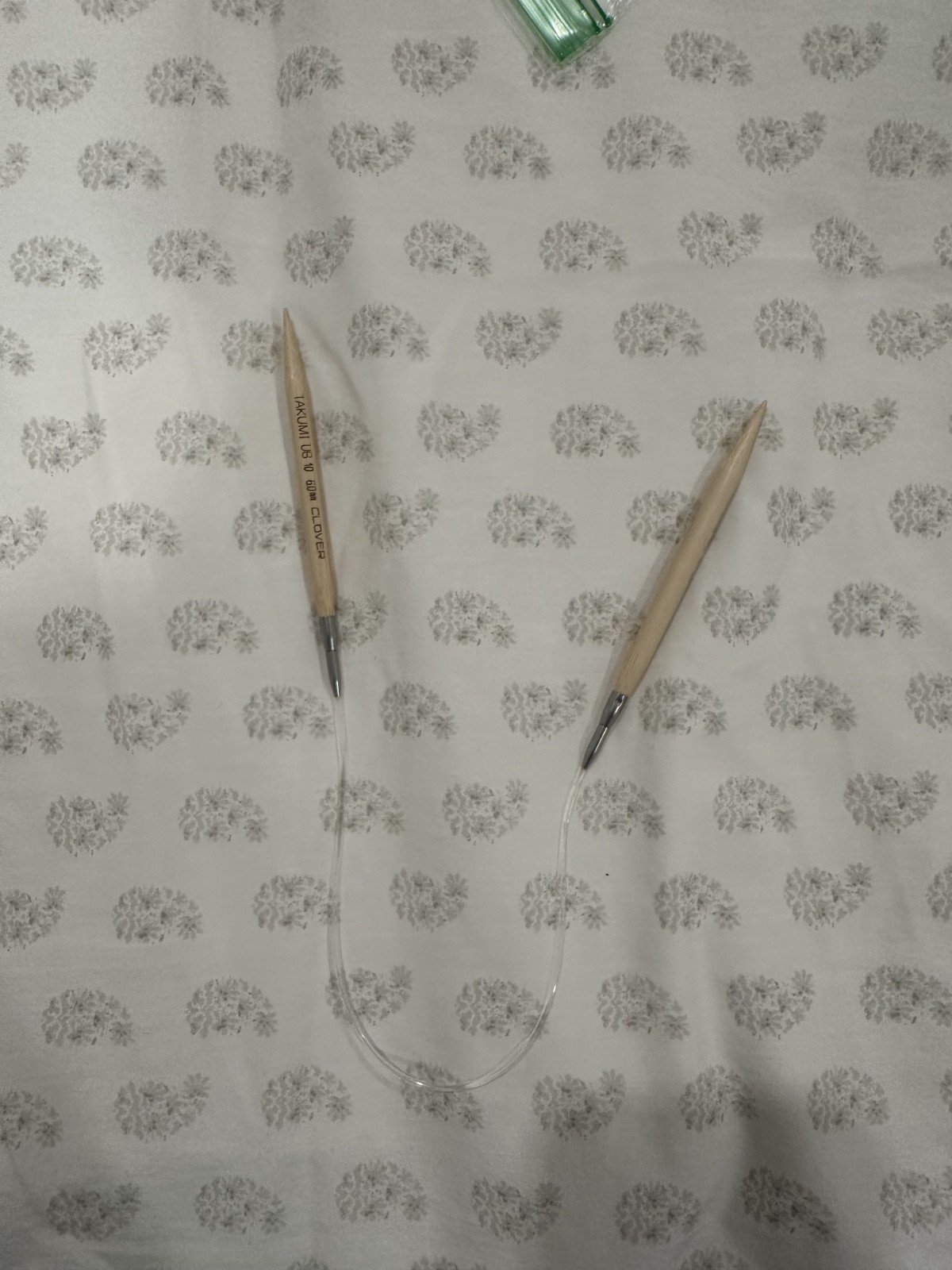 Takumi US 10 circular needle