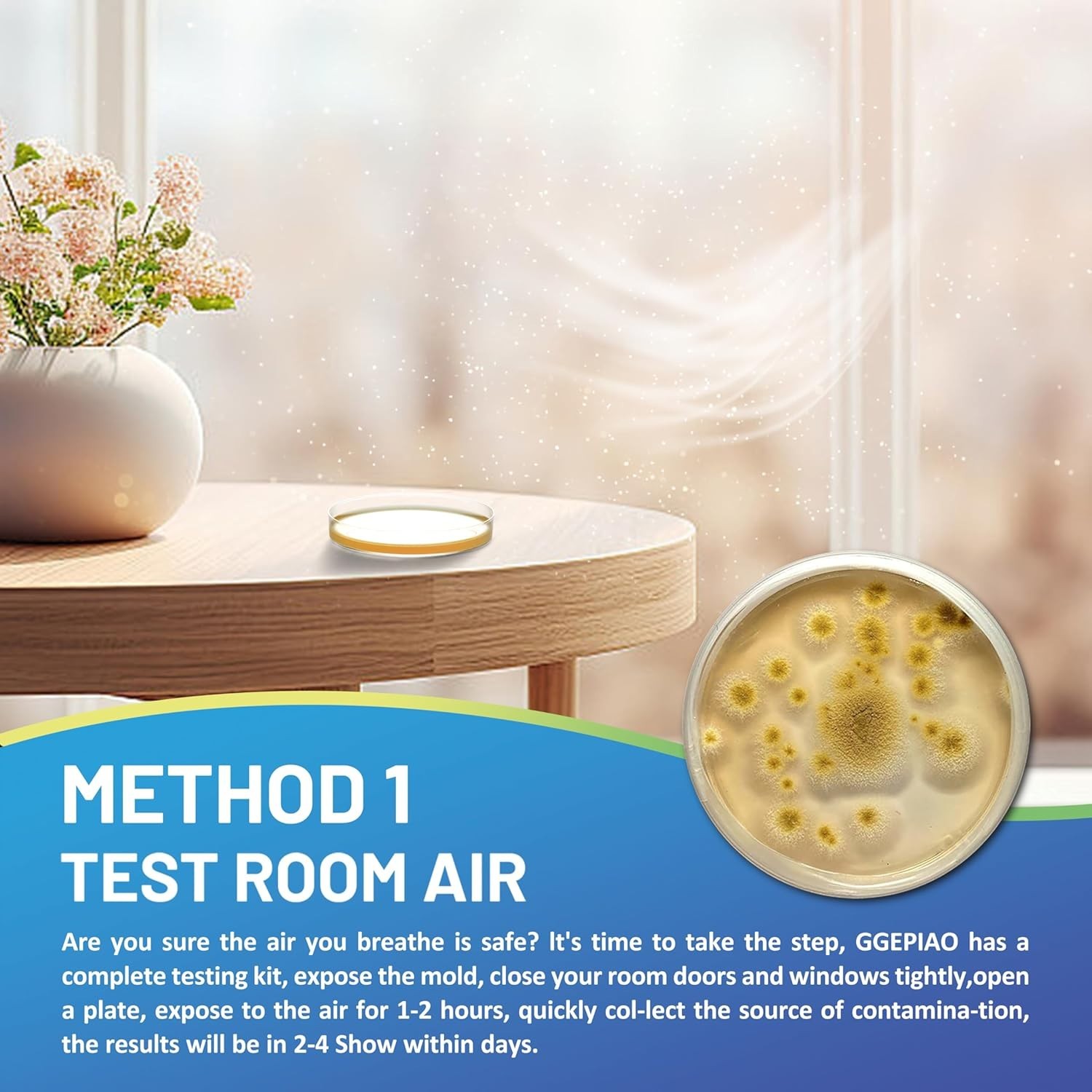 Mold Kit with Comprehensive Guide & Fast Results: Protect Your Home Today