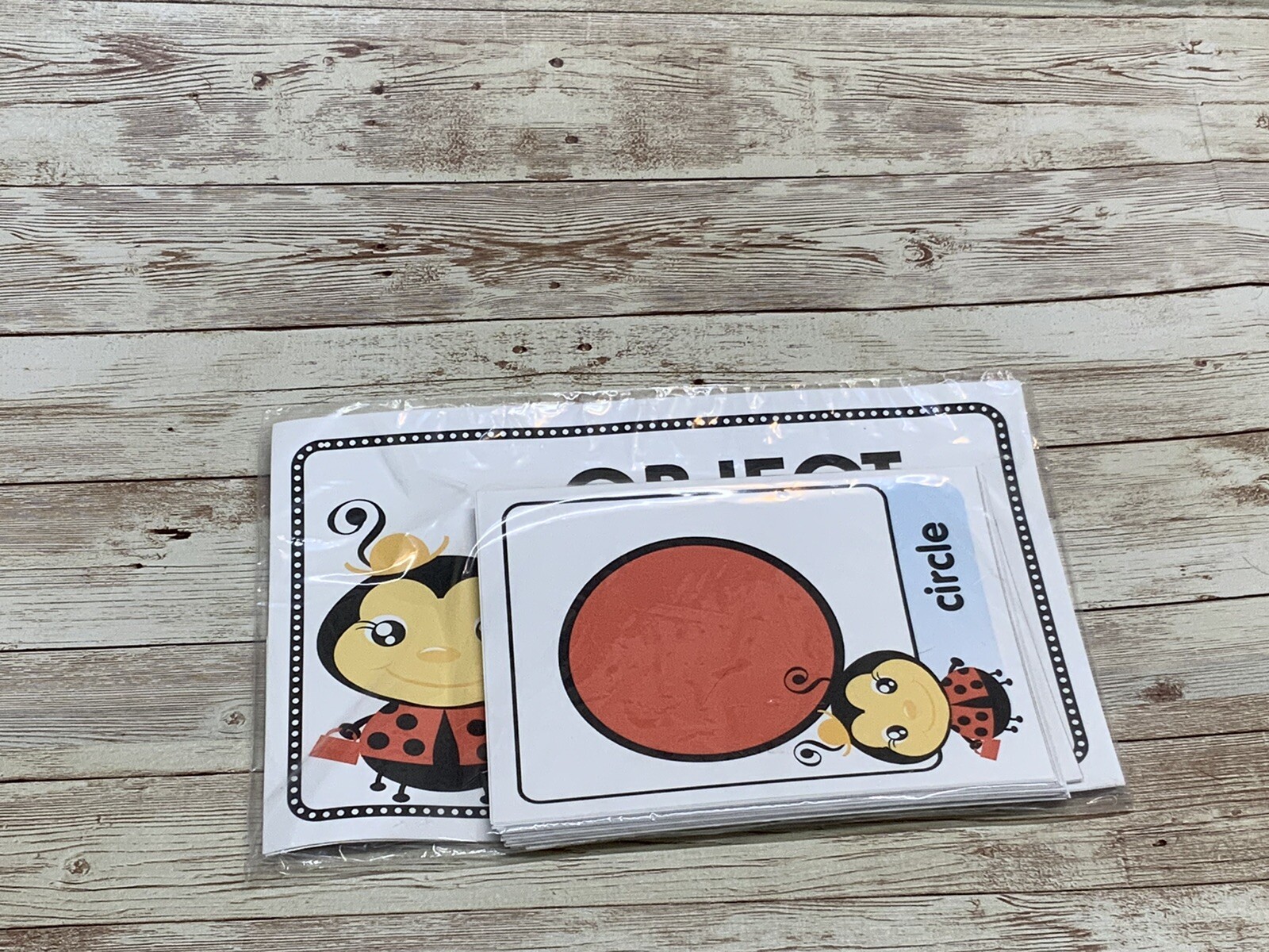 Ladybugs - Themed Learning Centers - Laminated - Object Shape Match