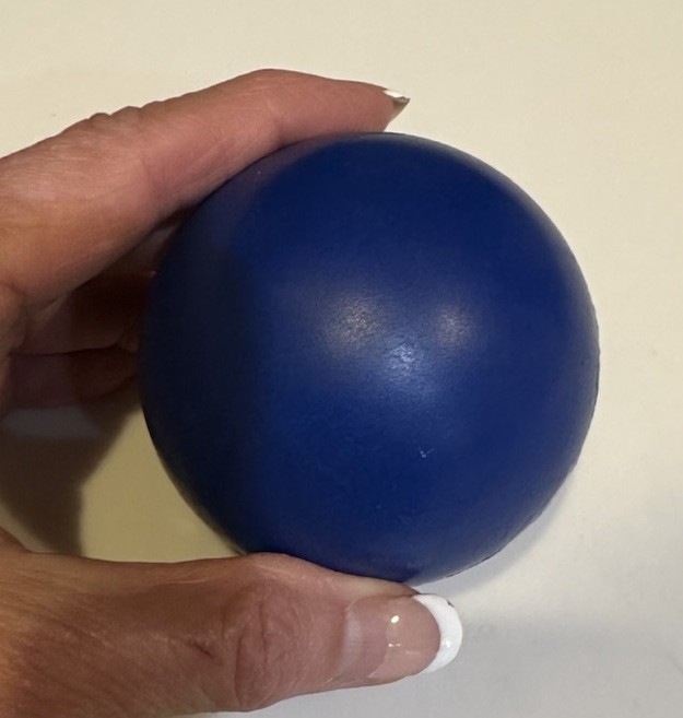 DELL GSD LEARNING & DEVELOPMENT CUSTOM LOGO COLLECTIBLE BLUE BALL BOUNCY 2.5”