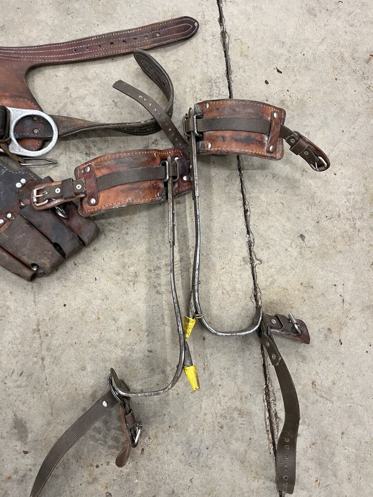 Bashlin Lineman SET Tree Climbing WIDE Belt Hooks Gear size D24