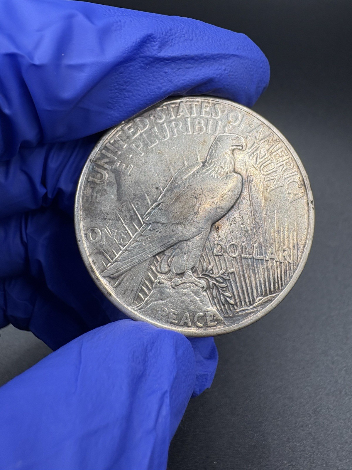 1921/1928 Key Date Peace Silver Dollars Cleaned