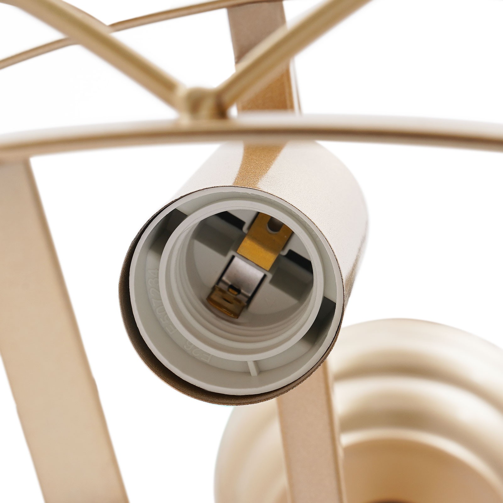 20 inch Caged Ceiling Fan Light Ceiling Mounted Light 3 Speeds Remote Control