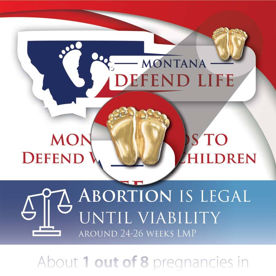 Precious Feet, Gold-Colored, Montana Stats Card Jewelry, Lapel Pin