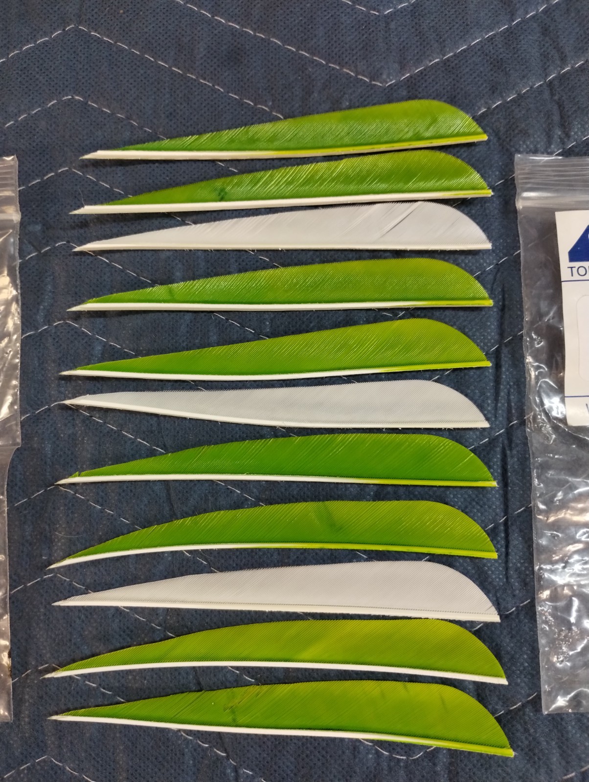 11 Count Gateway Feathers 5" Right Wing: Parabolic, White & Green