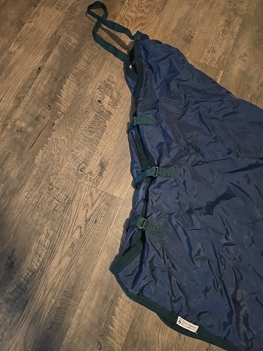 Horse Show Rain Cover Sheet