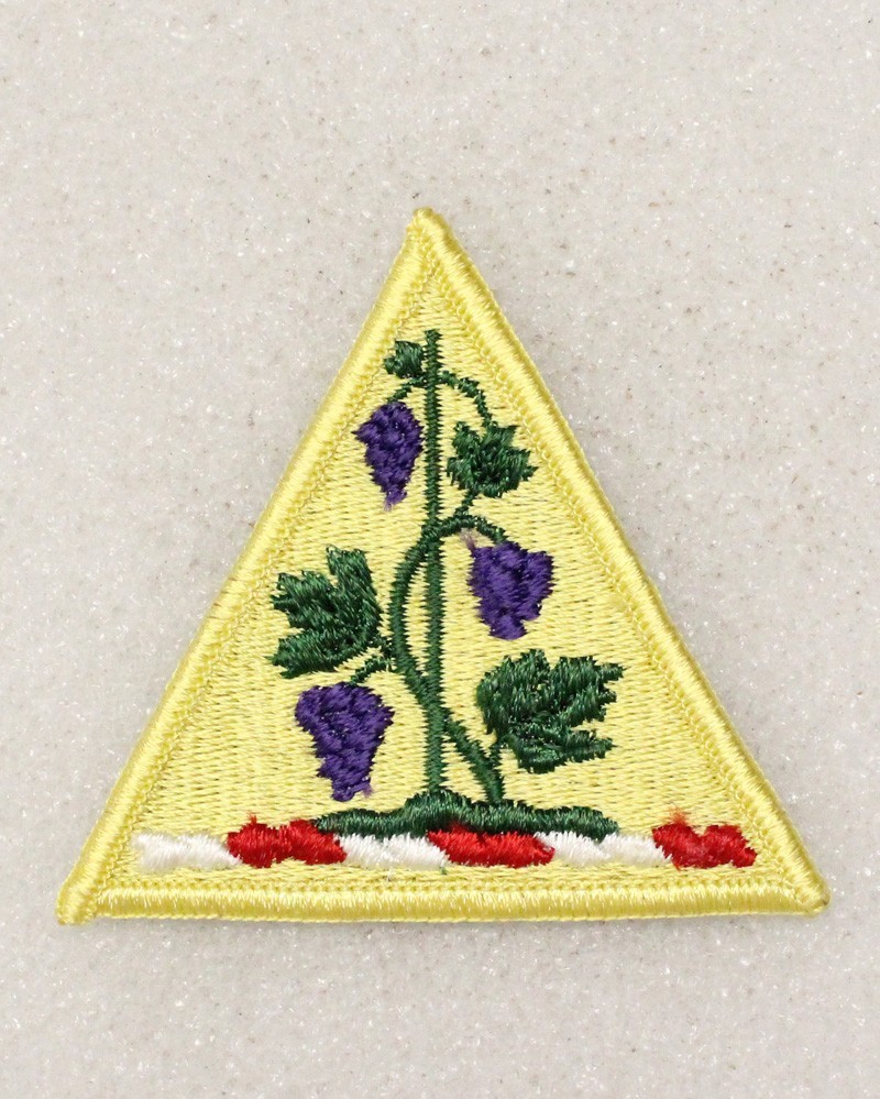 Army Patch: Connecticut National Guard Headquarters - merrowed edge