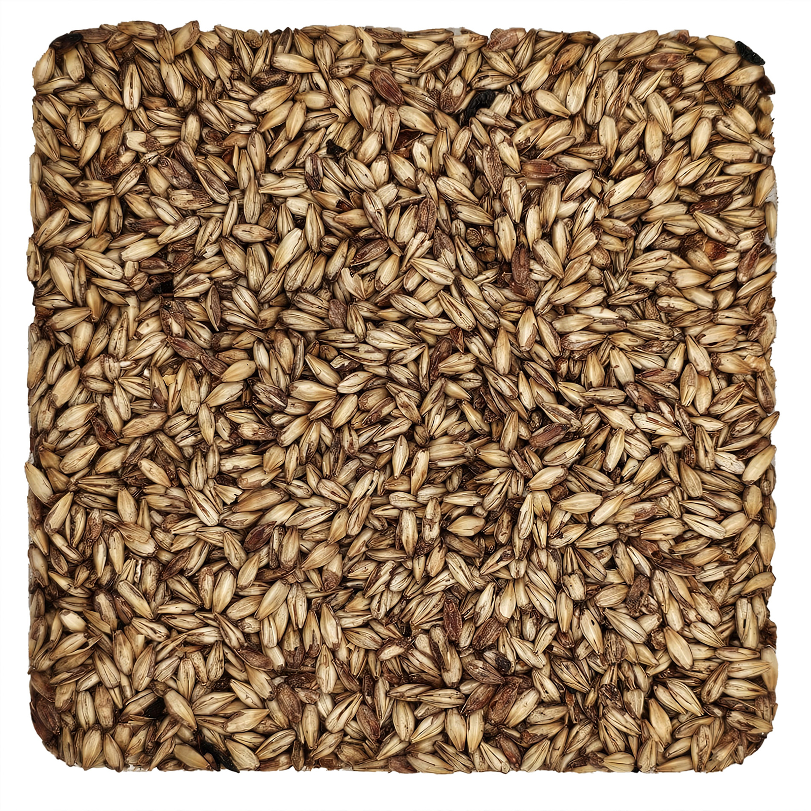 Home Brew Ohio Caramel 10L Grain 1lb
