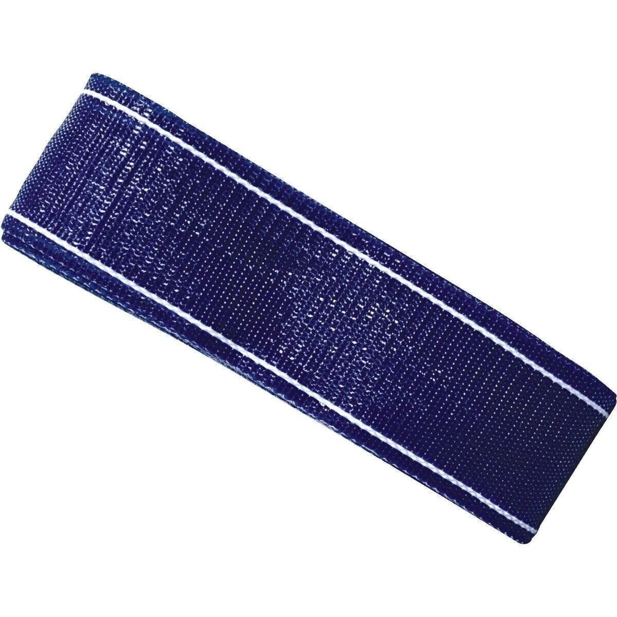 Frost King 39' Blue Webbing