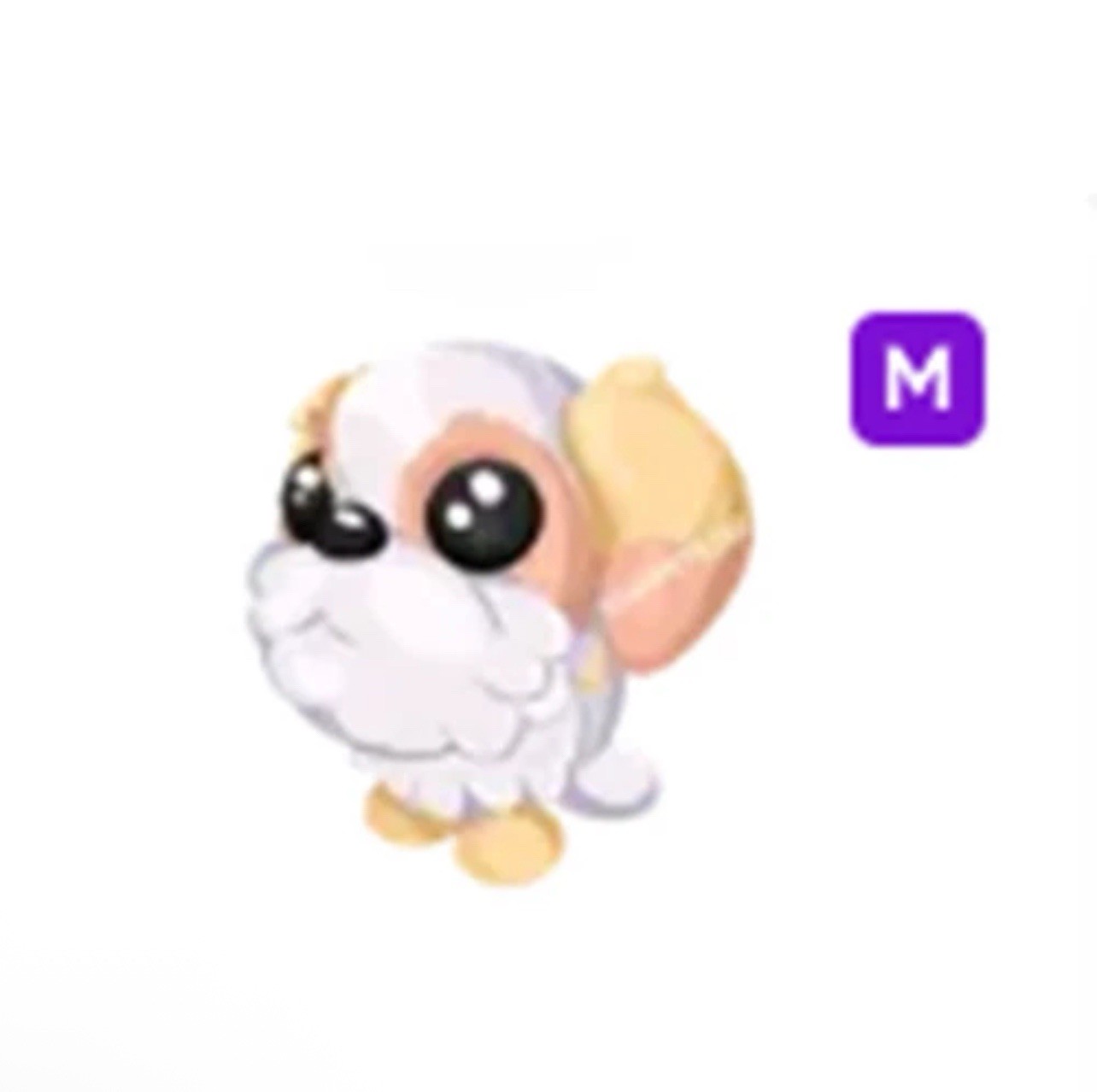 Adopt A Pet from Me - Mega Shih Tzu - Mega Neon