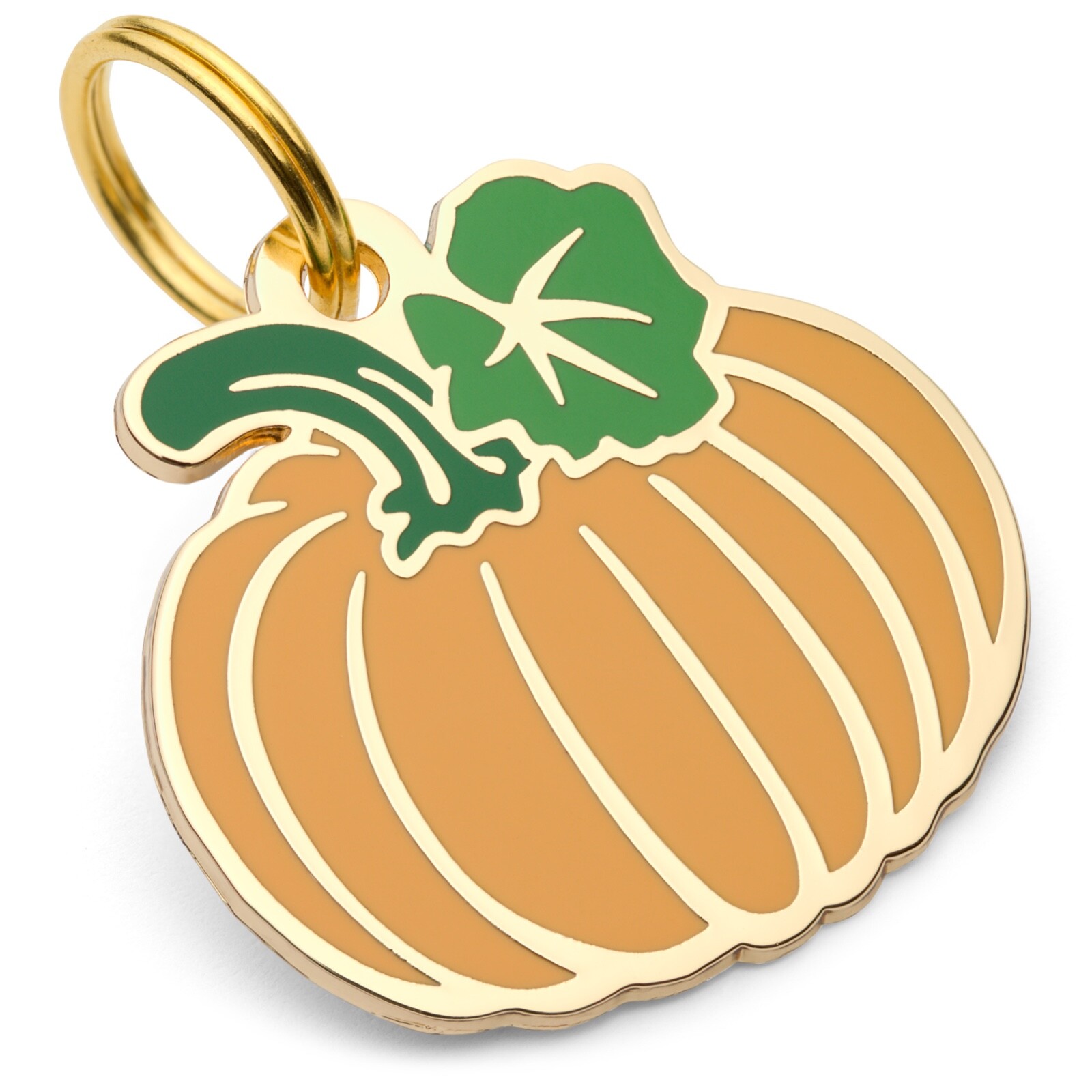 Pumpkin Dog Tag, Thanksgiving Pet ID Tag, Dog Tags for Dogs, Dog Gift
