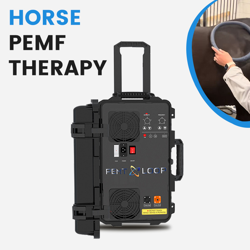 PMST Loop PEMF Pulsed Eletromagnetic Feild Sport Injury Pain Therapy Machine