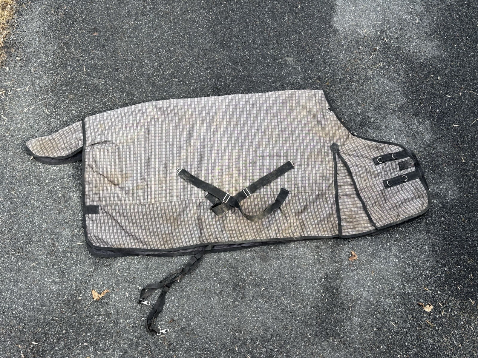 Schneiders Horse Turnout Blanket