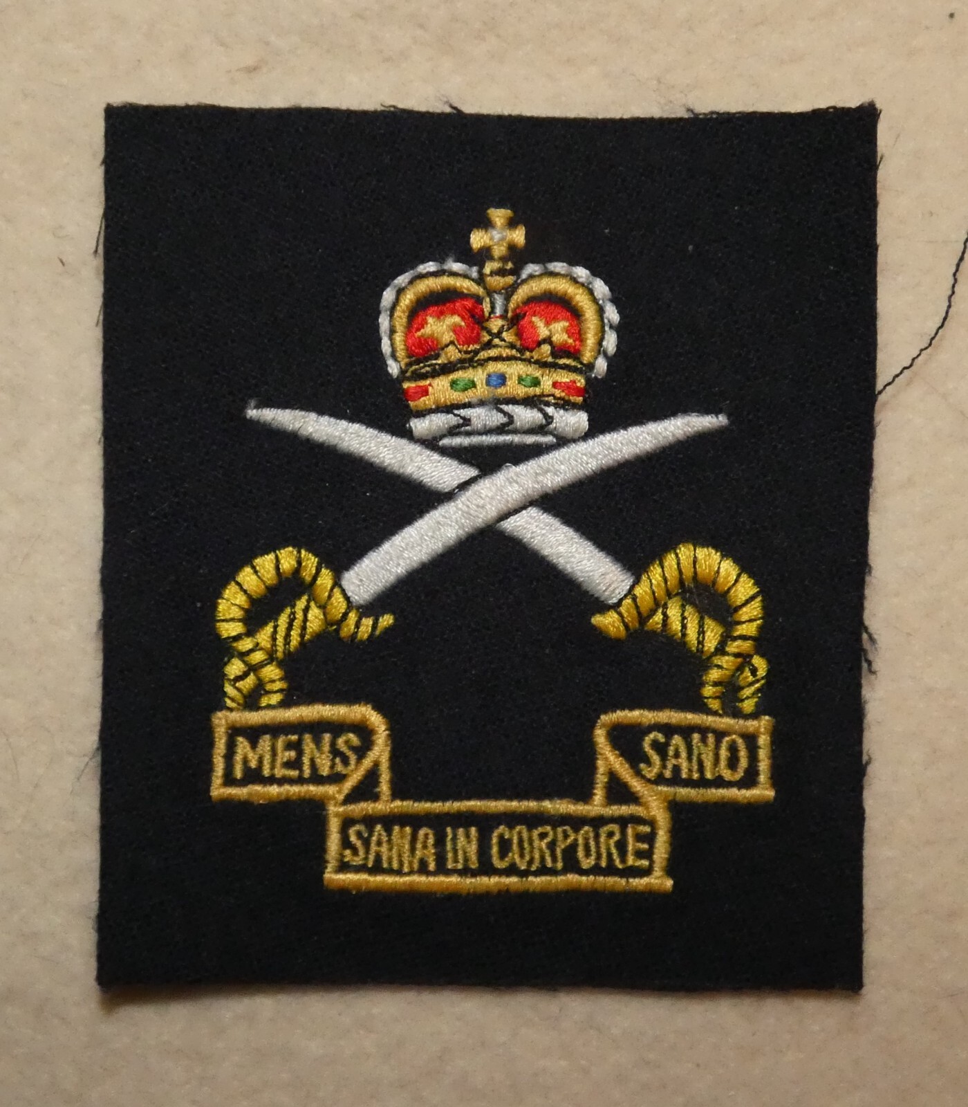 Original UK Army Physical Training Corps Embroidered Blazer Badge