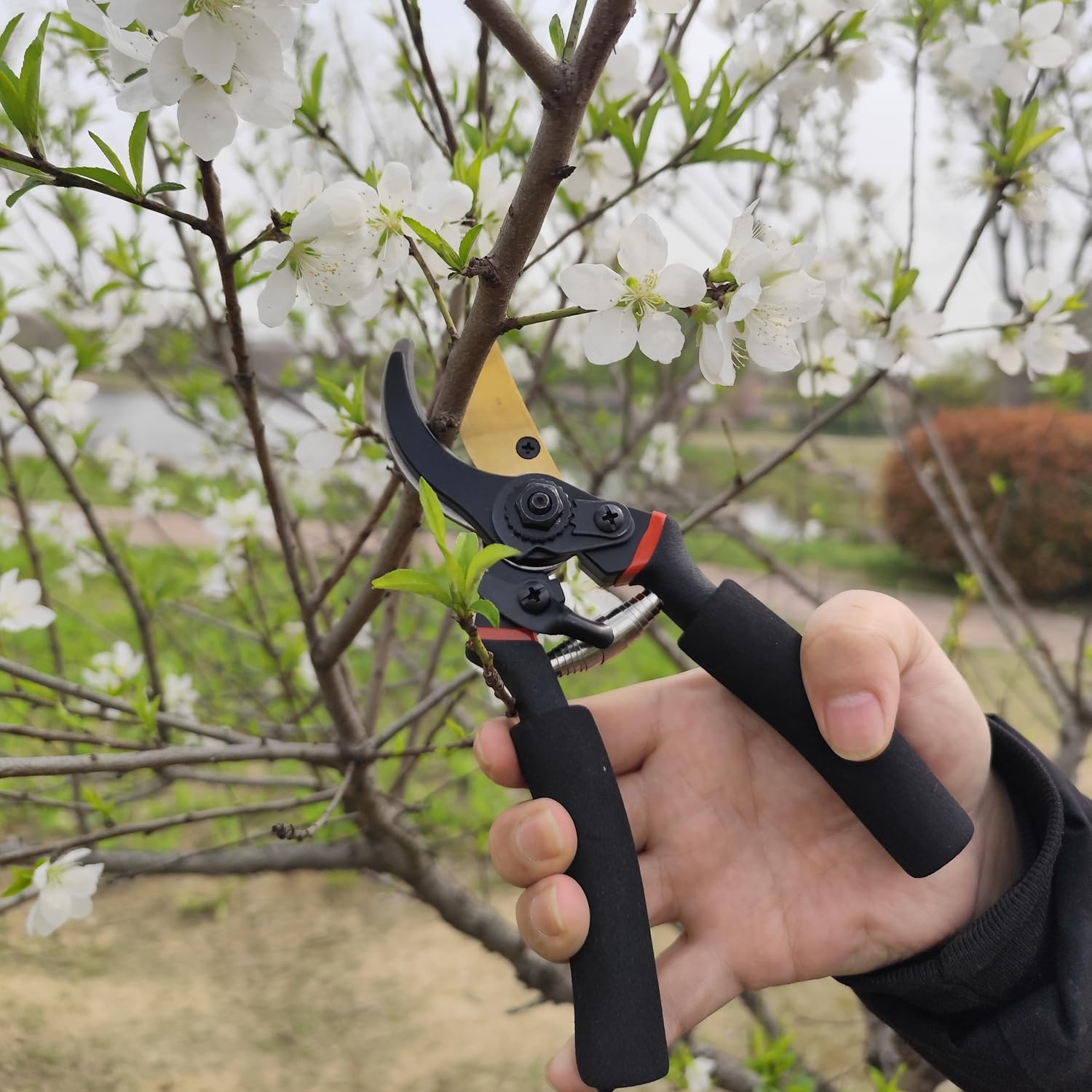 2Pack Pruning Shears, Garden 8 inches (length only), Black