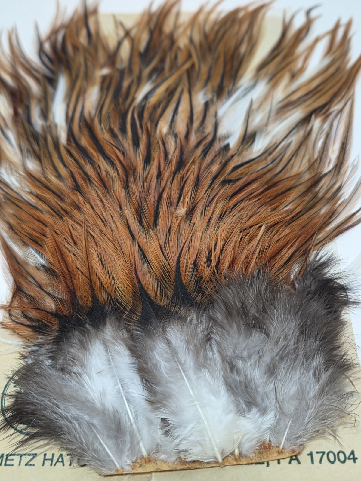 METZ Furnace Saddle Hackles Feathers Fly Tying Materials