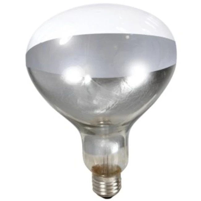Miller Manufacturing R40 Heat Lamp Bulb 250W Medium Base Small
