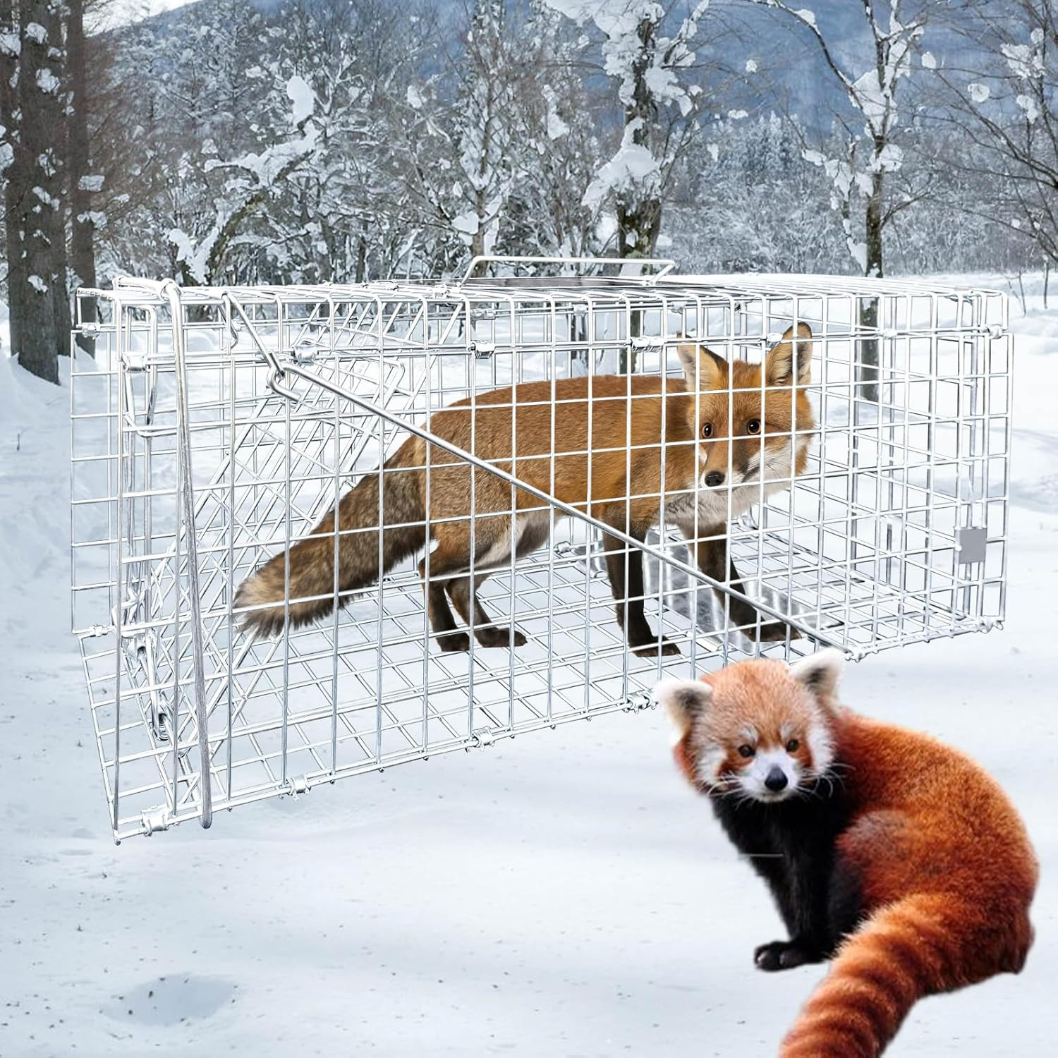 Humane Large Animal Trap for Fox, Raccoons & Coyotes - 42.5"x15"x17