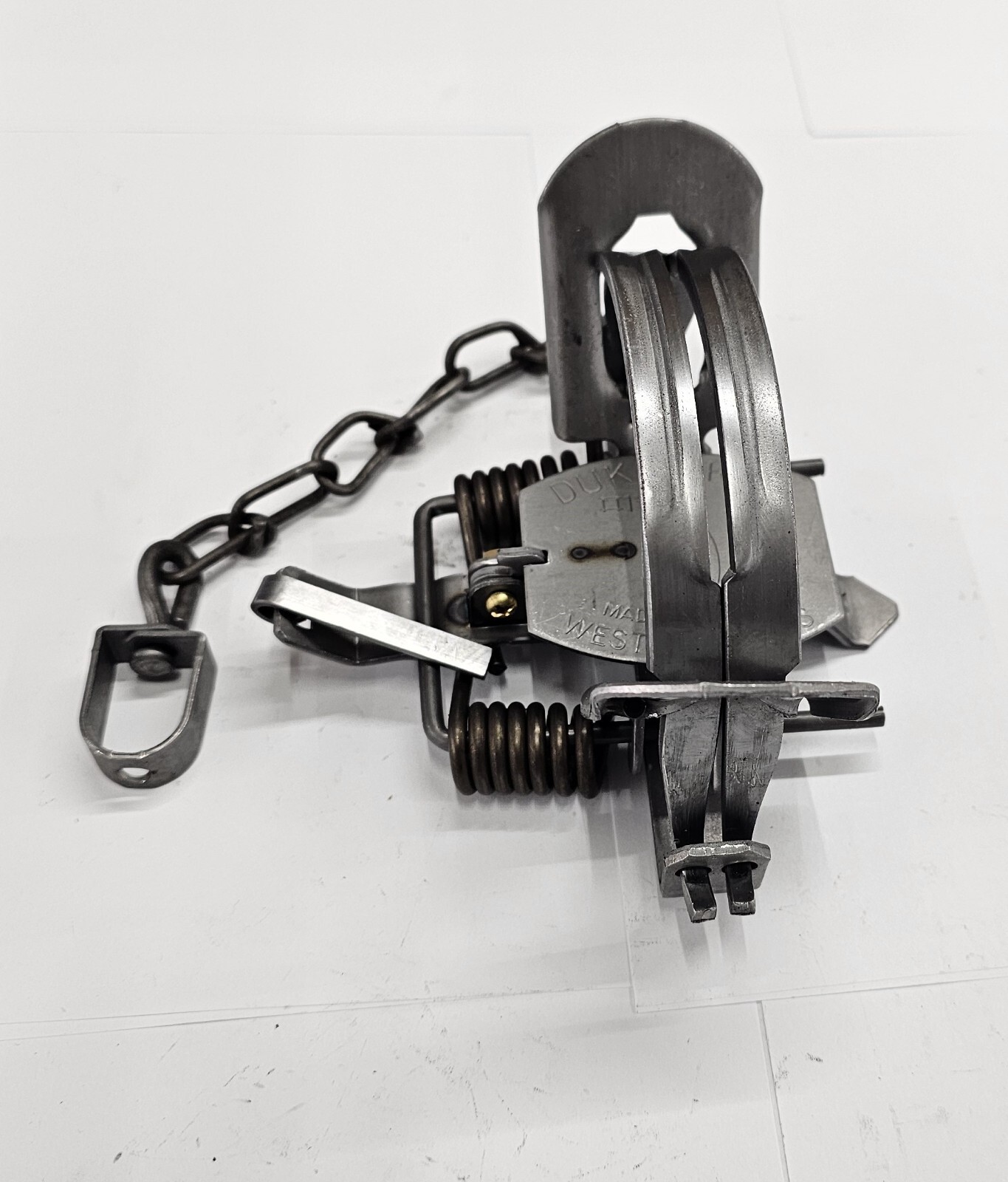Duke # 1 3/4 OFFSET Coil Spring Traps 0476 Coyote Bobcat Fox Trapping