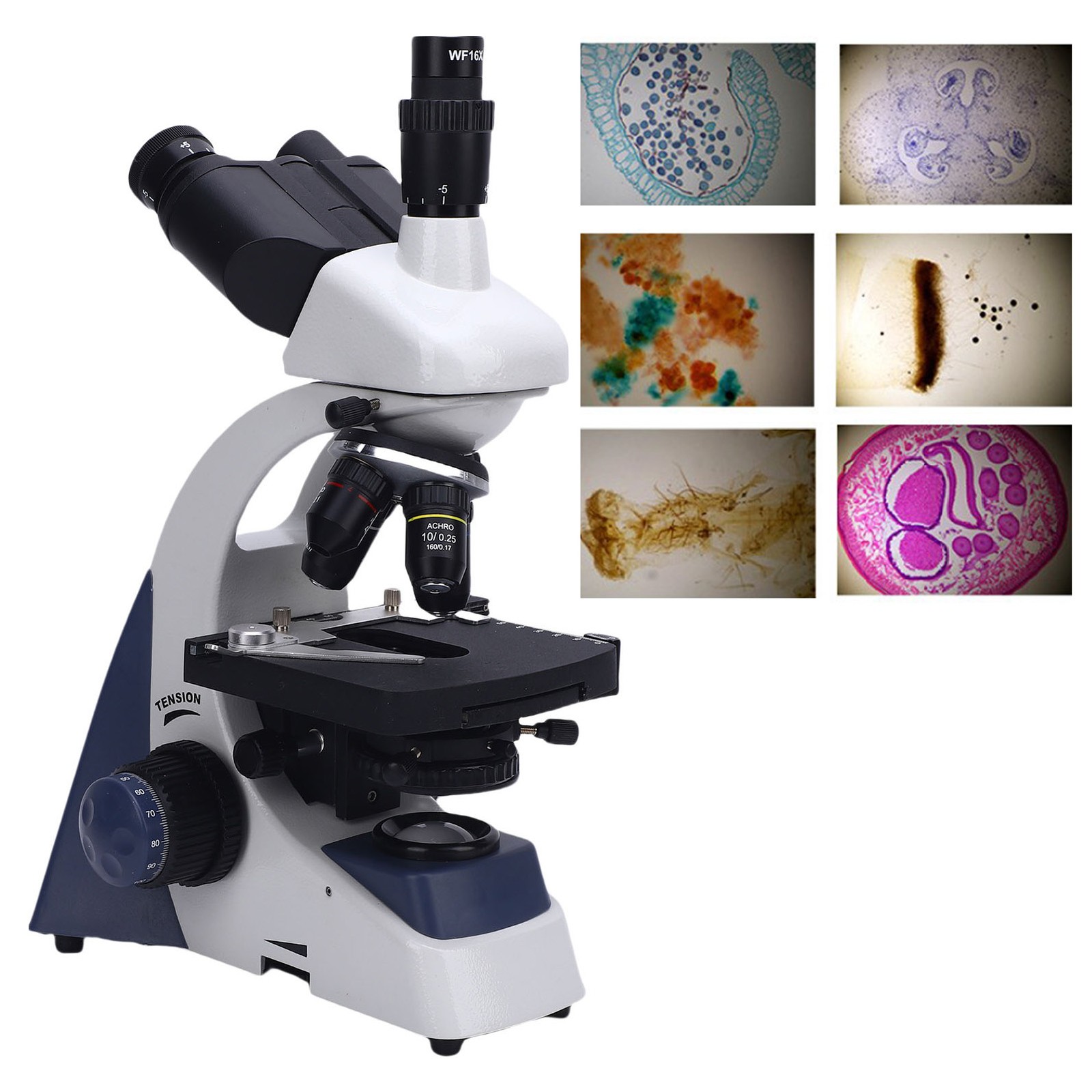 40X-1600X Industrial Microscope Trinocular Microscope With LED Light Microscope