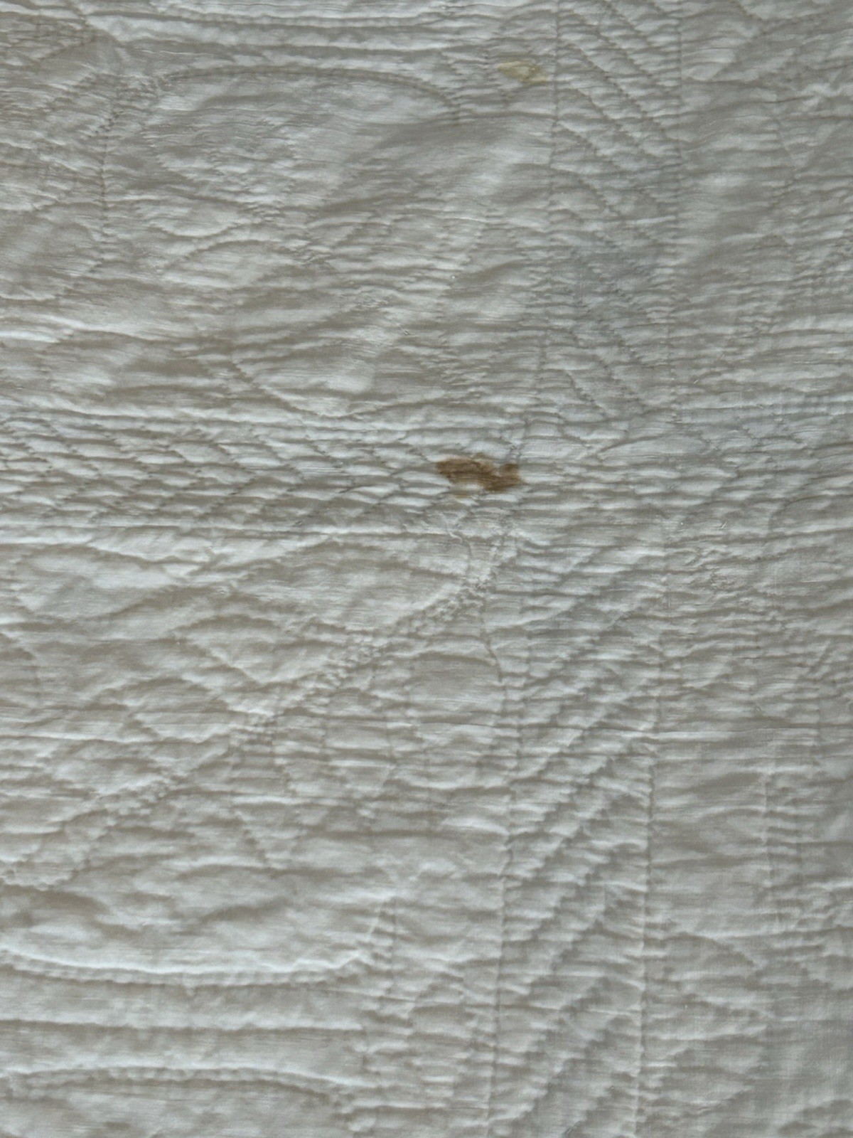 Cotton quilt with blue Hawaiian Breadfruit (Ulu) pattern